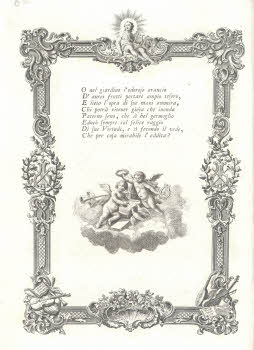 Vol.%20Z%20224%2C%20tav.%208b